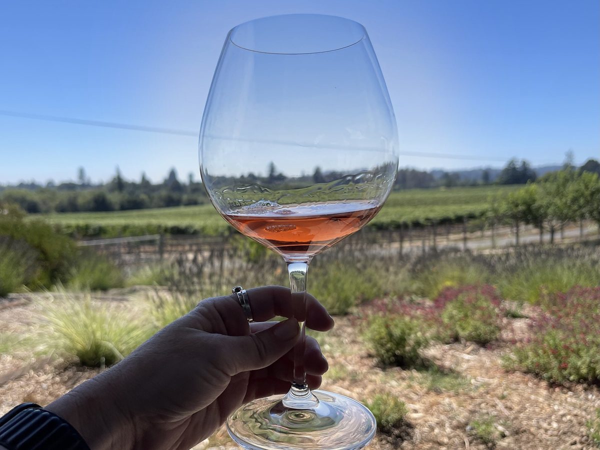 Wine tasting in the Cape Winelands