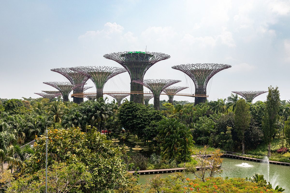 Supertree Grove at Gardens by the Bay